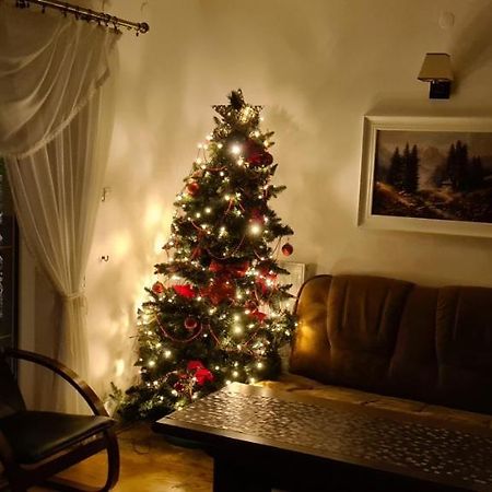Sosnica  Apartament Kazimierza Wielkiego מראה חיצוני תמונה